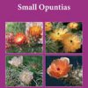 small_opuntias